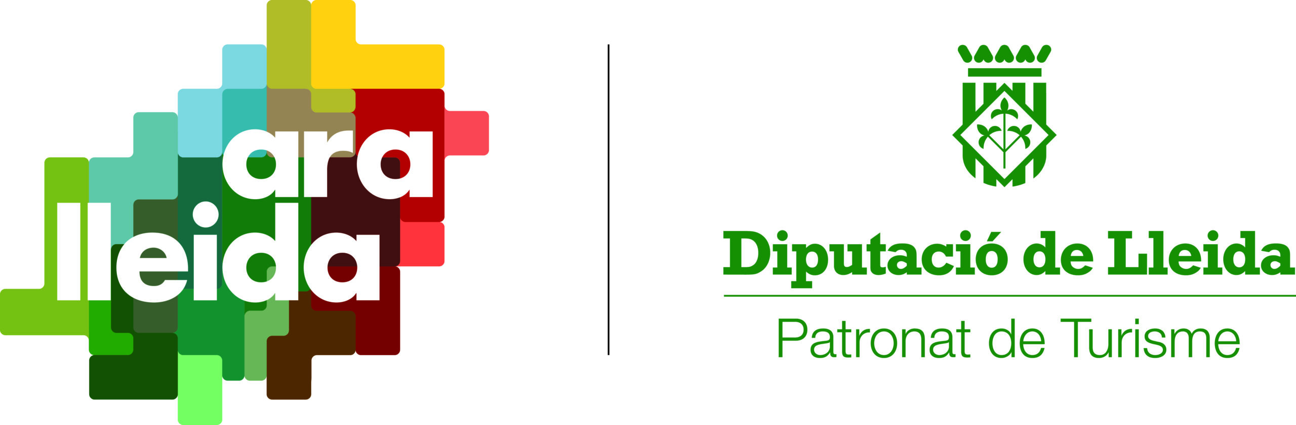 ara_lleida_diputacio_patronat