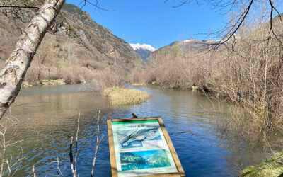 Excursió al Salencar